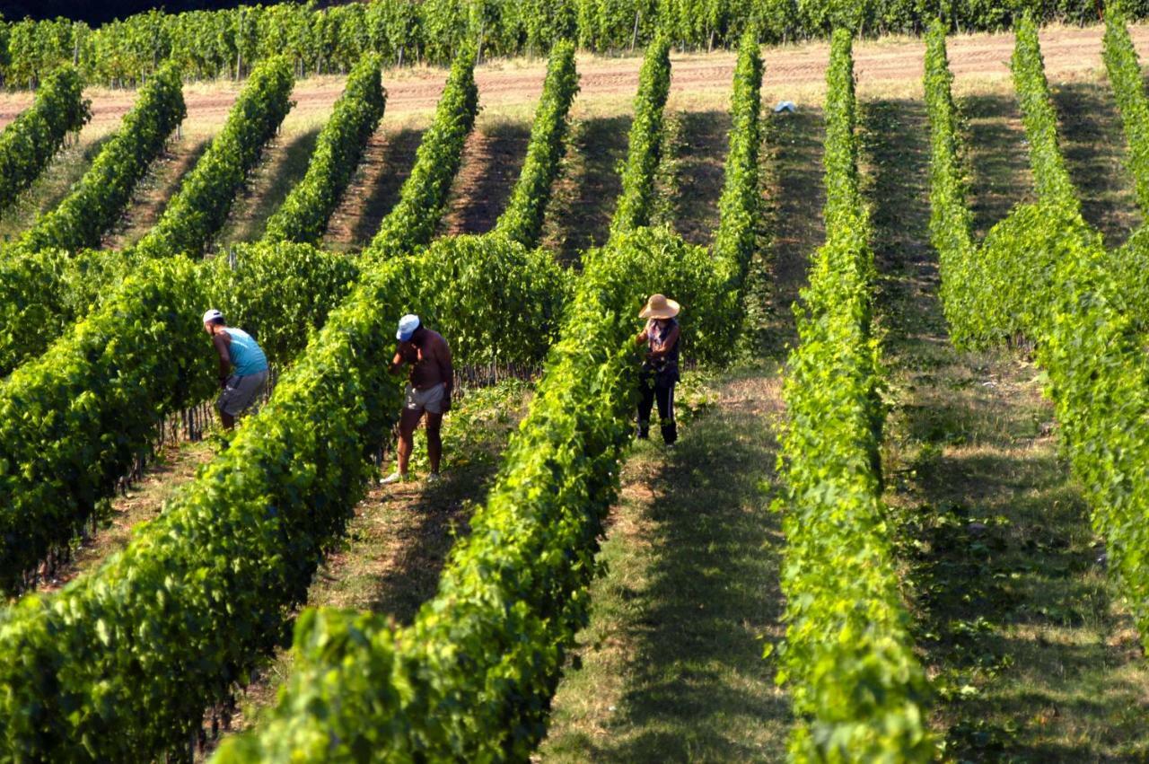 Poggio Al Sole Βίλα Badia A Passigano Εξωτερικό φωτογραφία